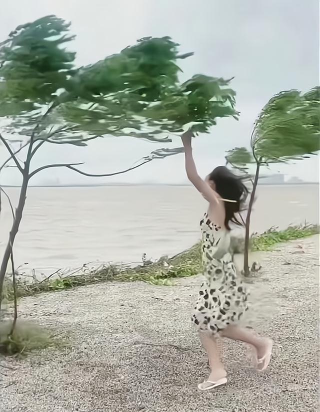 海边刮大风,身材瘦小的女子担心自己被大风刮走,紧抱小树不撒手