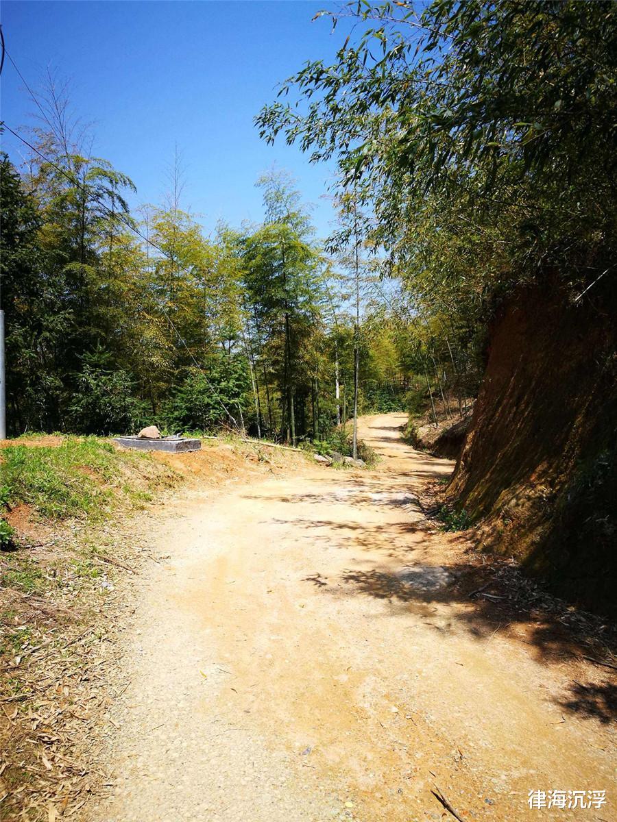 案例:女幼师嘲笑保洁员,遭对方拖入地窖,获救时胸部被制成标本