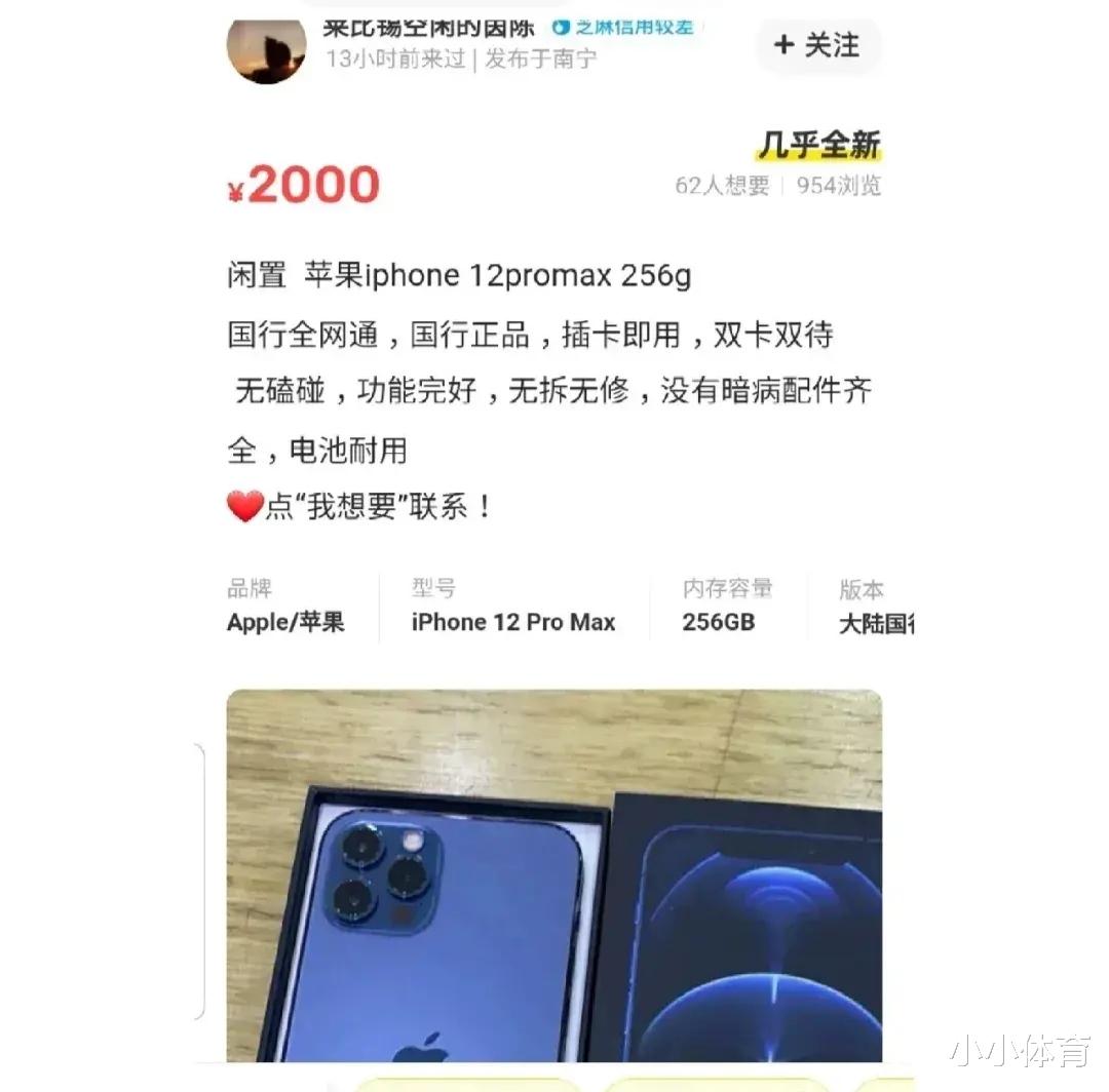 苹果|在闲鱼上买苹果12promax被骗1300