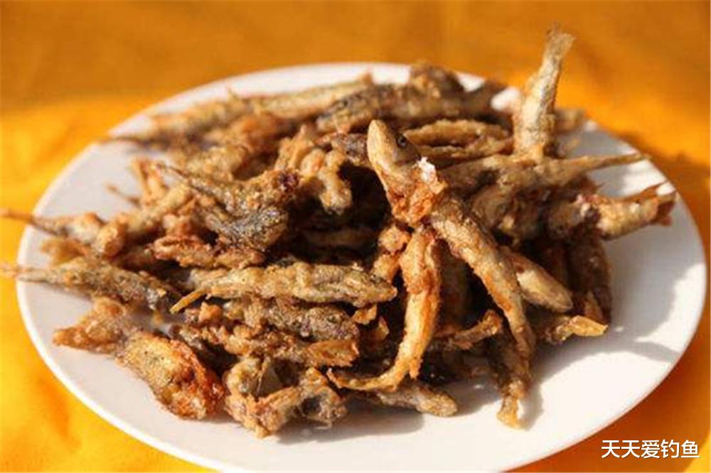 饵料|这些野生杂鱼，钓鱼人避之不及，吃货趋之若鹜，几种钓法可以狂拉