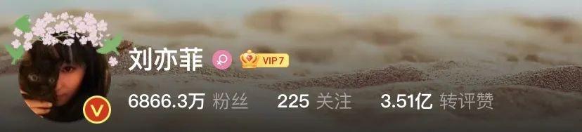 刘亦菲|神仙姐姐刘亦菲捡了11年流浪猫,如今她的千万豪宅里养了50只猫