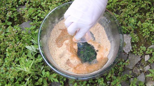 |夏季野钓草鱼,鲫鱼鲤鱼通杀型饵料配方,水库野钓效果更明显