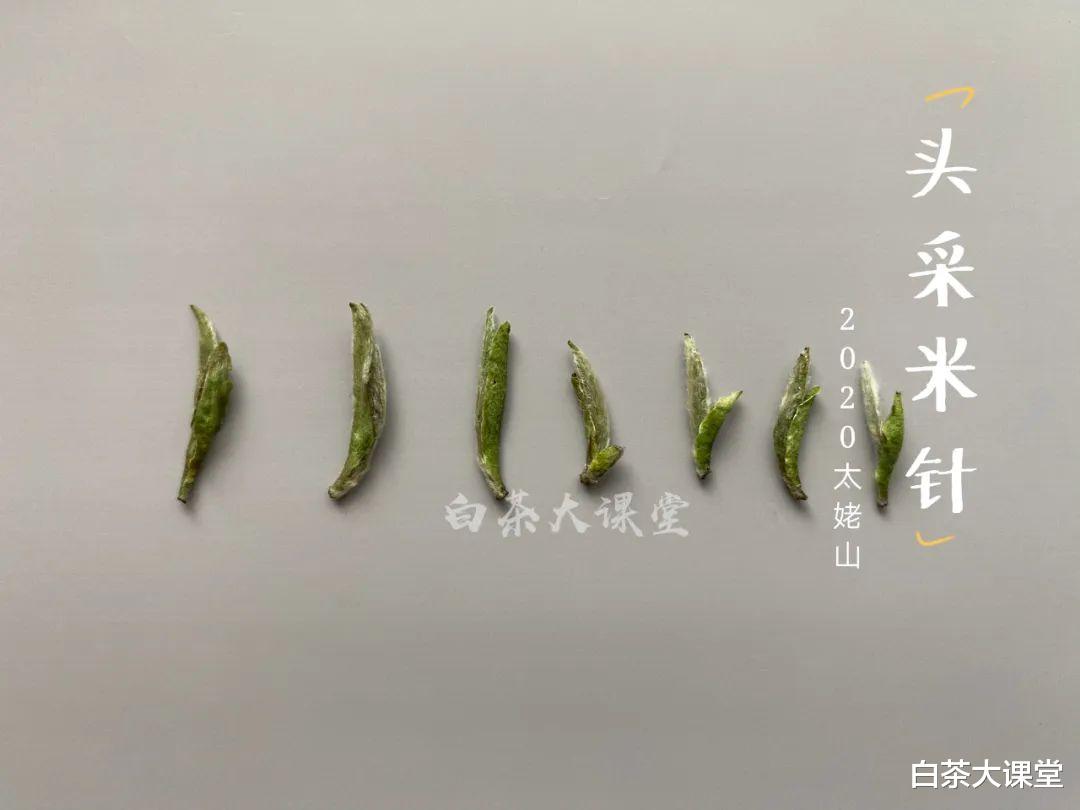 |白毫银针泡出来又苦又涩，是哪方面问题？老茶客详解背后真相