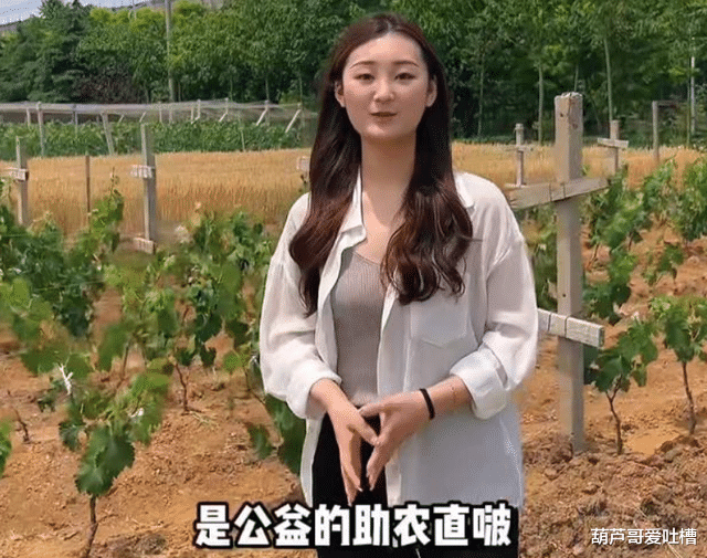 陈亚男|陈亚男开启“助农直播”,网友集体举报尴尬下线