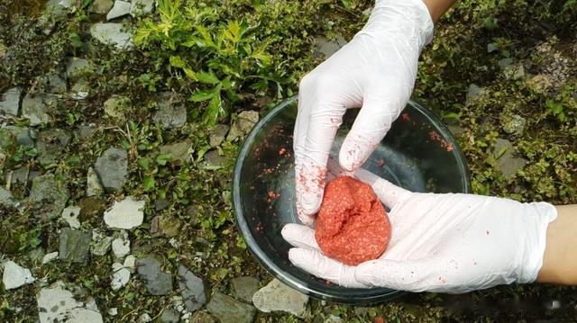 饵料|夏季野钓鲫鱼，野战蓝鲫试试这样搭配，鲫鱼最爱吃