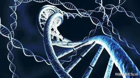 全球野生动物50年锐减69%!但适者生存,咱们为何保护?因为恐惧