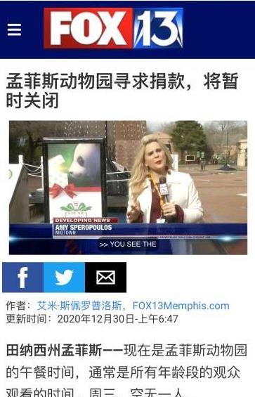 回顾:在美大熊猫瘦骨嶙峋,疑遭虐待:无数中国人正盼着它们回家