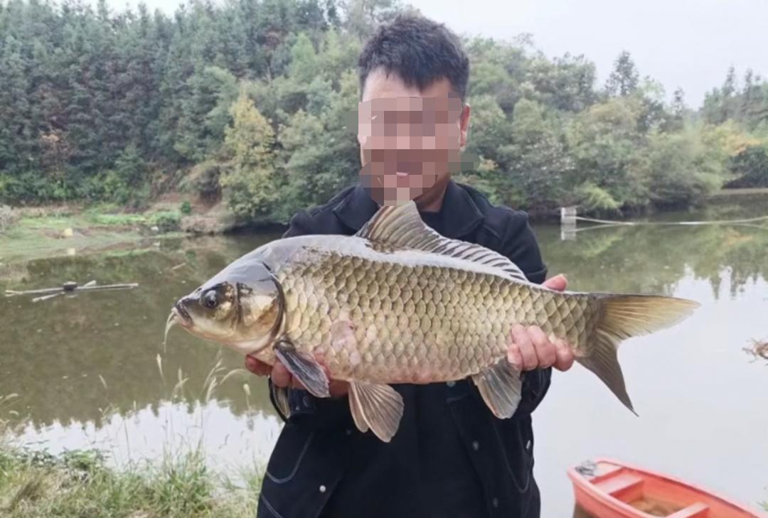 |湖南长沙钓鱼人钓到8斤重的“大鲤鱼”,经过鉴别后才发现是鲫鱼