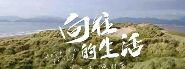 刘昊然|向往的生活6路透,原班人马回归海岛录制,刘昊然张子枫梦回唐探