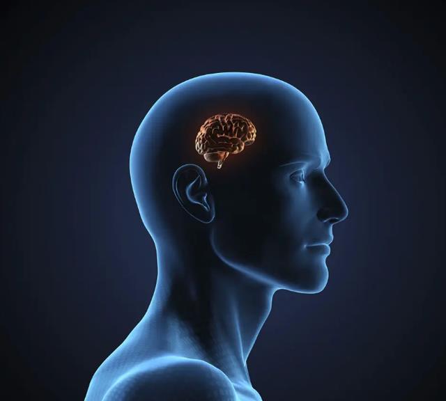 一根0.0000001毫米的针,插入大脑会对人体造成伤害吗?