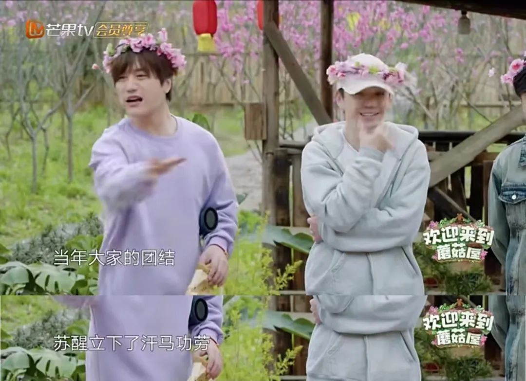 快乐男声|悄悄糊了15年，一夜救活娱乐圈！