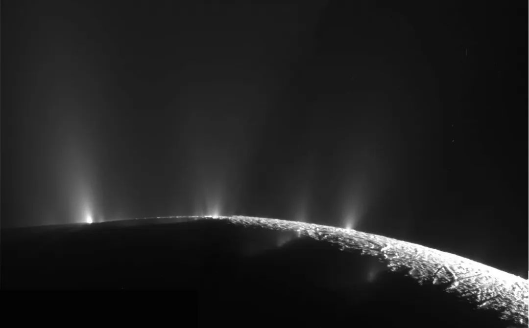 中国科学家:土星附近可能会有生命,但真相被部分掩盖了