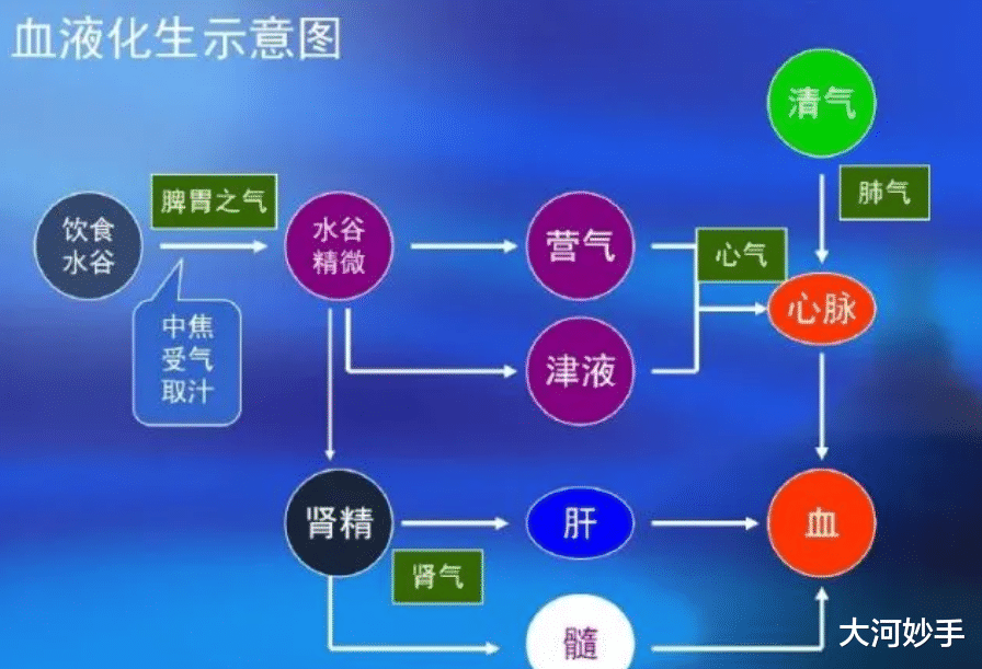 桑葚|“人活一口气”的故事里,为什么暗藏着八段锦调理身体的绝活