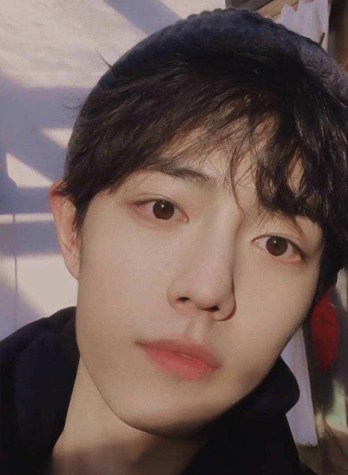 肖战|肖战沾别人光登上CCTV！网友：都是光芒四射的人