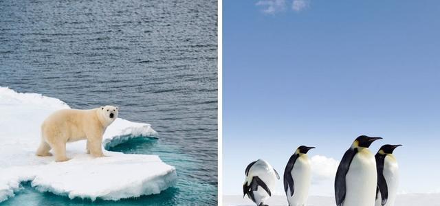 冰盖厚达5公里，拥有世界上90%的冰，为什么南极这么冷？