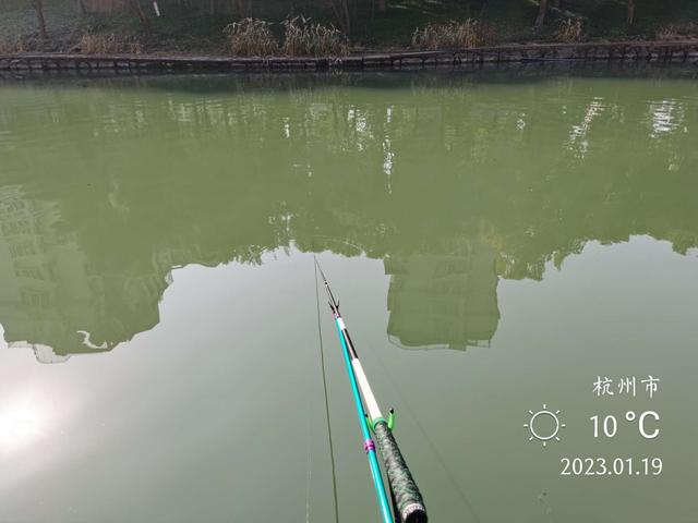 鲤鱼|新年作钓小河边，暖阳鲫鲤来报到