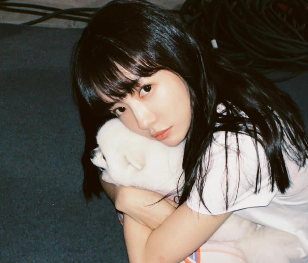 赵露思|赵露思关晓彤蔡文静共同主演的剧,低调开始招商,赵露思成为核心