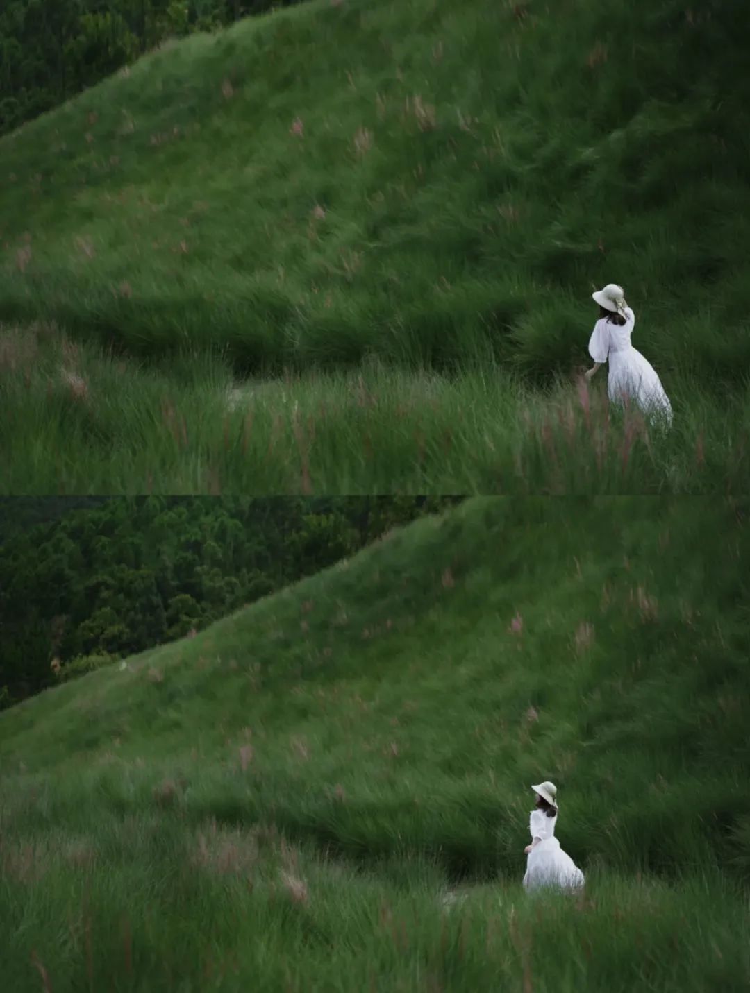寺庙|比大理丽江舒服，就差点人气！藏着云南小三亚，异域风情不输版纳