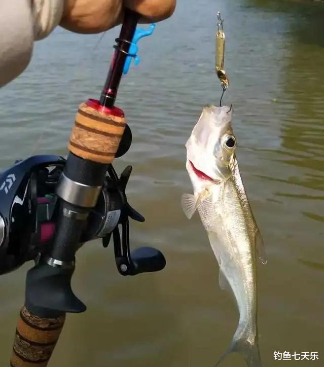 |网红鼓吹垂钓新招数，用“石头”打窝也能钓到翘嘴？别被带偏了