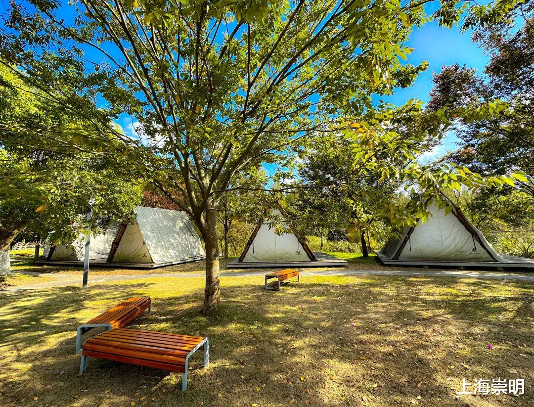 蝴蝶|星空房车、帐篷露营、烧烤派对……崇明这个公园里都有!
