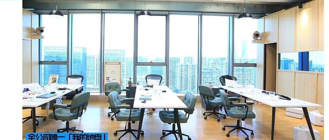 跃上高阶职场|《跃上高阶职场》:直接冲上级说重话、表达不满,他们可真敢