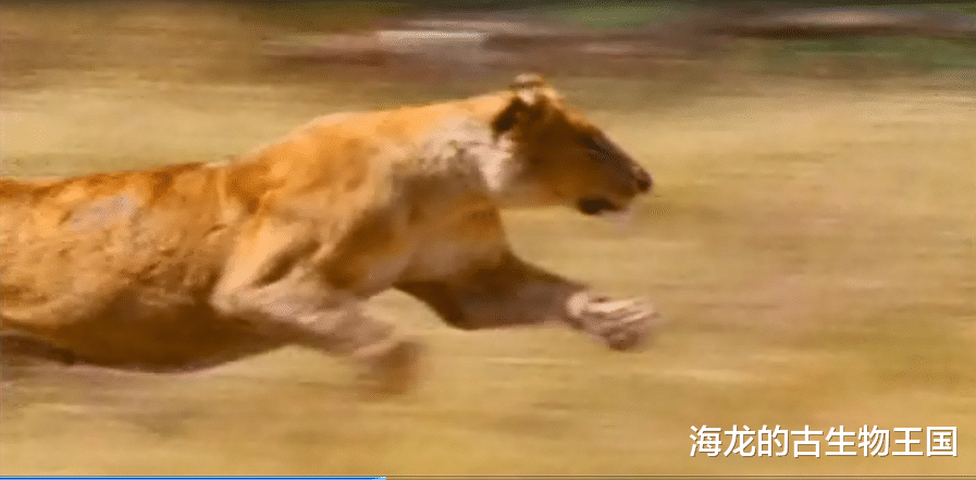 阿尔伯特龙的前肢、腿和尾巴各有什么作用?
