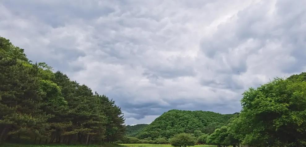 浦江|三元绿皮列车,穿越越秦岭,人少,牛多,欣赏草原