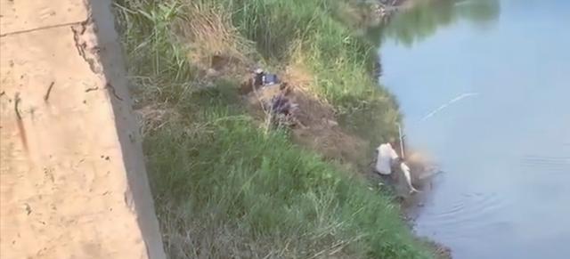 大爷|人鱼大战!大爷垂钓中大鱼,反被拉进了水里,网友:独乐不如众乐