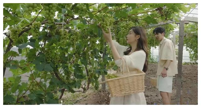 |心动的信号:看懂3位男嘉宾喜欢肉肉的原因,才明白她的深藏不露