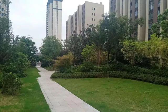 案例:空姐和乘客于飞机洗手间内偷情被拍,因不雅视频曝光酿惨剧