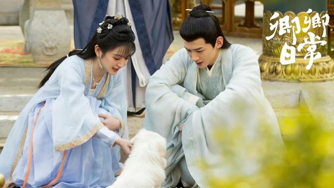 卿卿日常|春有百花秋有蟹，夏有凉瓜冬有雪，山铮海薇真好磕