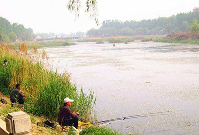 |霜降过后如何选钓位?运用这3个方法,一样能过足钓鱼瘾