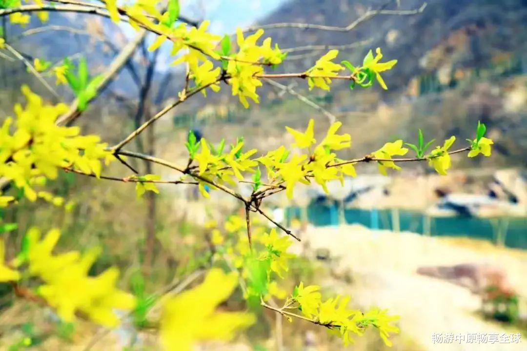 霞浦|春分已过 万花竞放，不妨到宝泉感受那别样的花漾年华