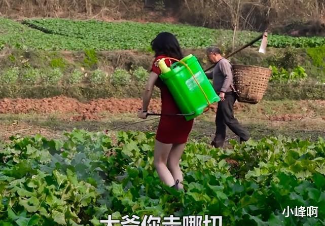 |124W粉的唐小鱼，穿包臀裙下地打农药引争议，网友：离被封不远了