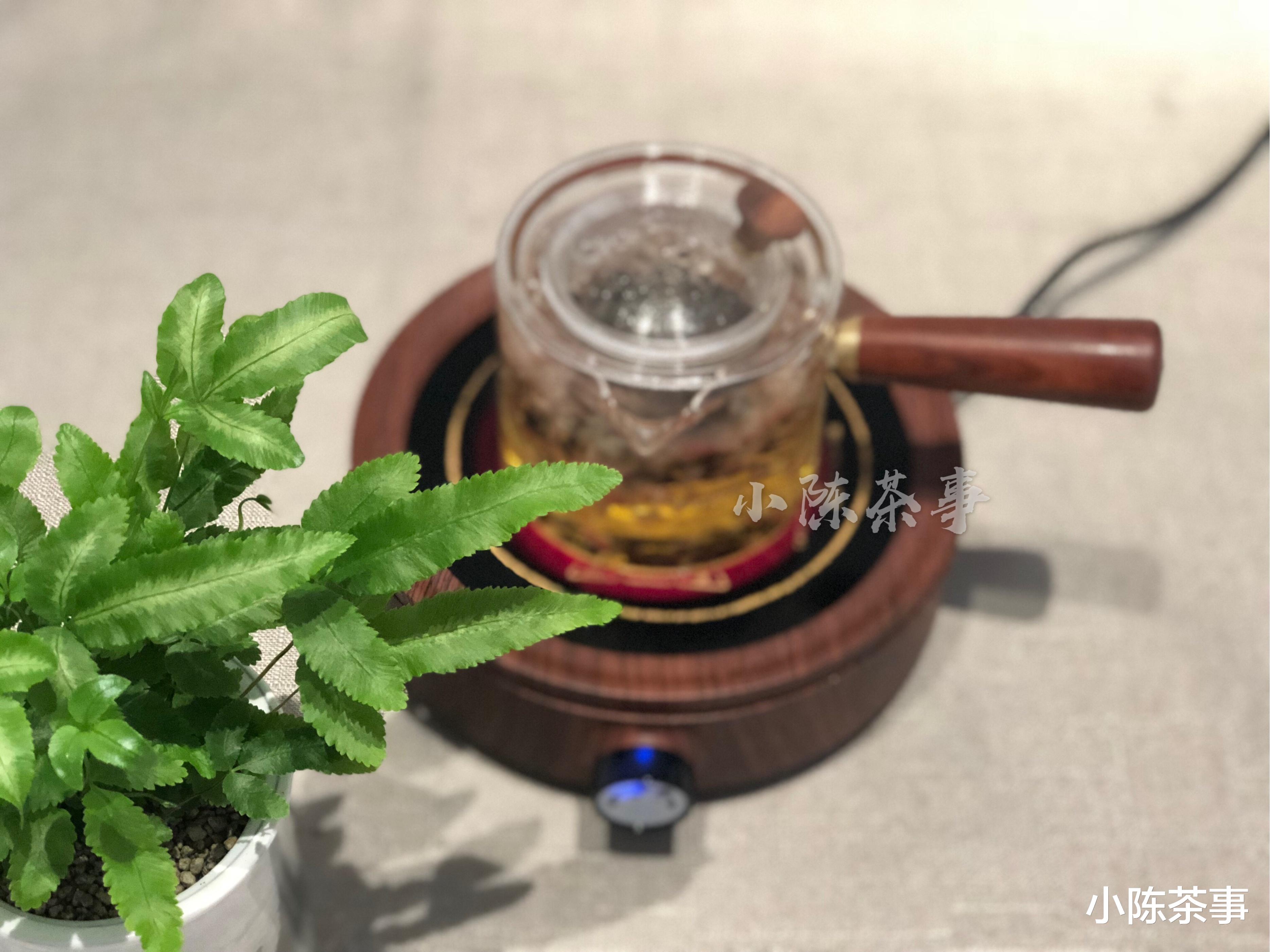 一样的老白茶，“蒸茶”和“煮茶”有什么区别？一文让你不再纠结
