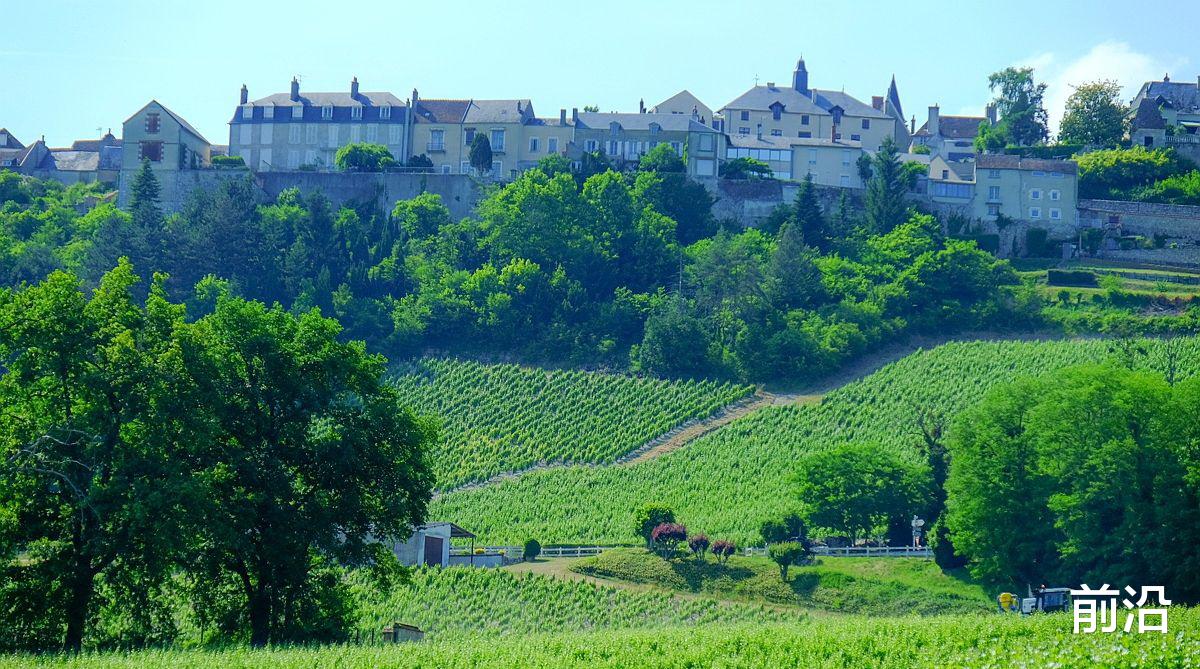 葡萄酒|法国卢瓦尔河流域桑塞尔(SANCERRE)产区的葡萄酒简介