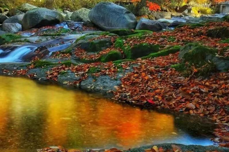 |宝鸡赏秋指南：秦岭森林 大江源头 多彩斑斓的秋日山水风景大观