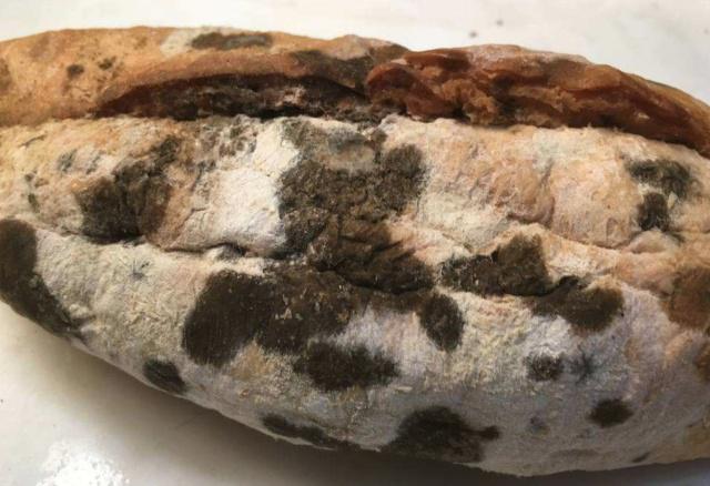 癌细胞|癌细胞“喜欢”这5种食物,很多人可能天天吃!别让癌细胞得逞