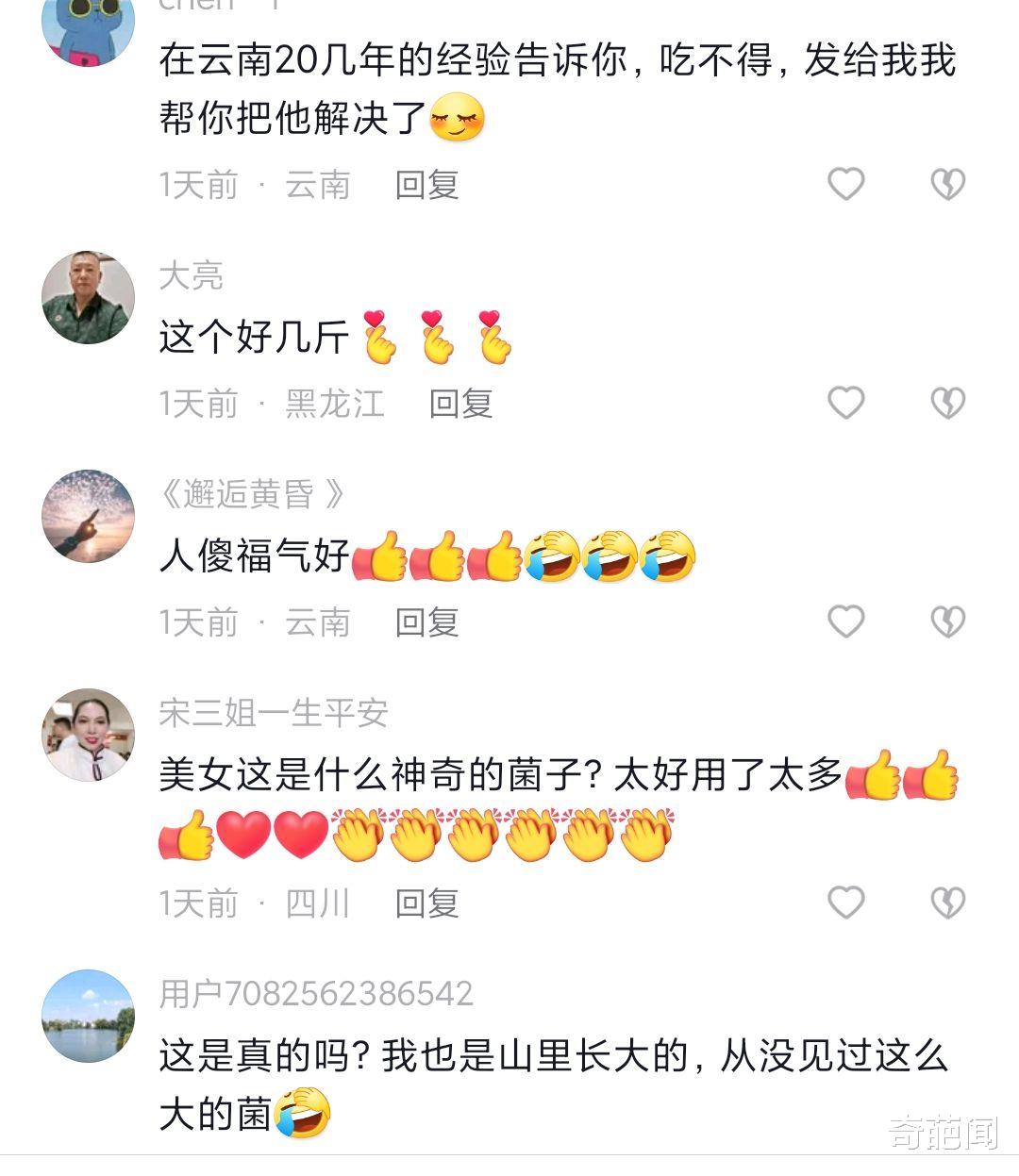 开眼了!云南一村民上山找蘑菇,挖到一颗个头比孩子还大的鸡枞菌
