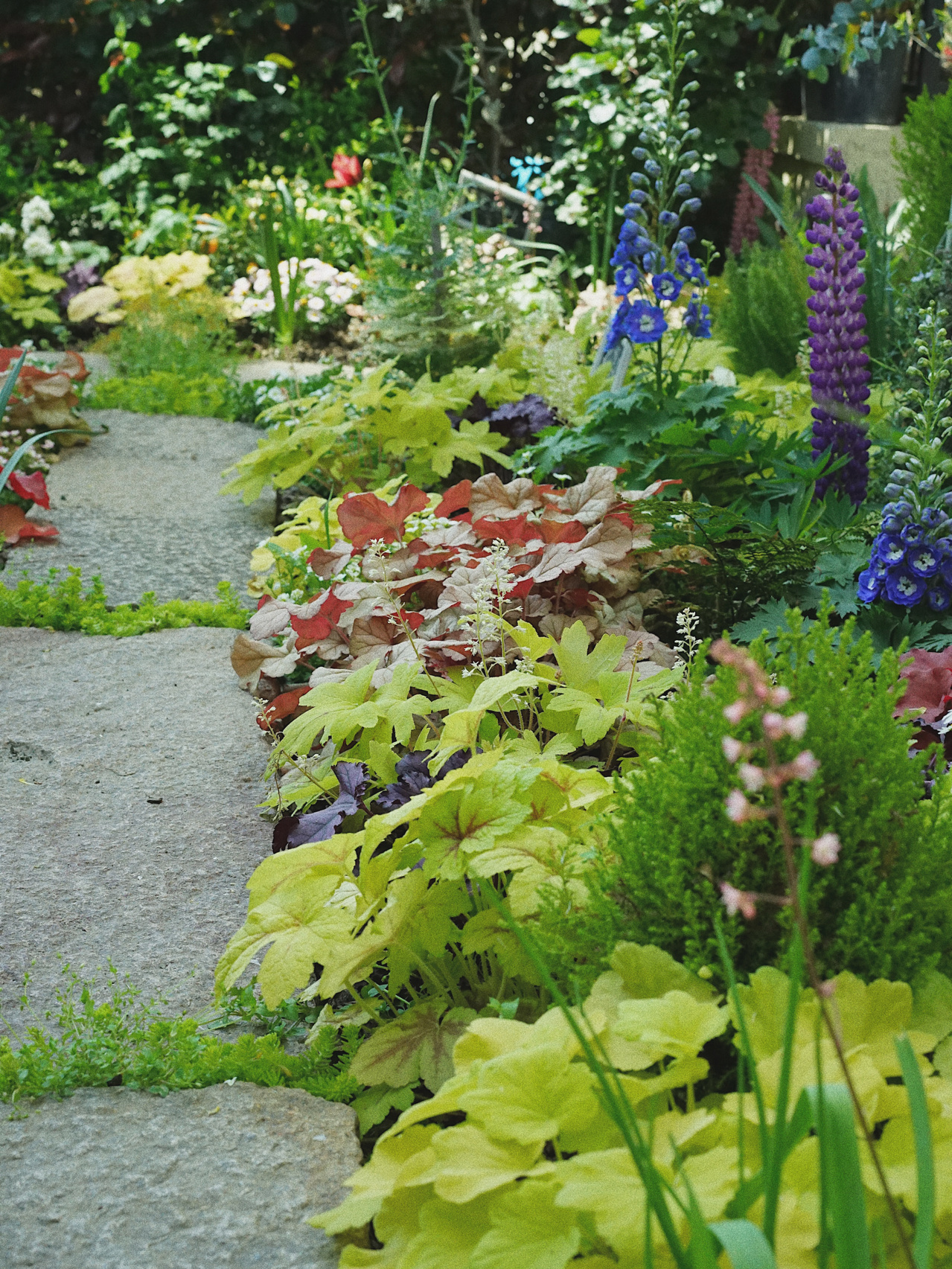 凌乱小院,自己动手搭配改造,变身浪漫的英式小花园