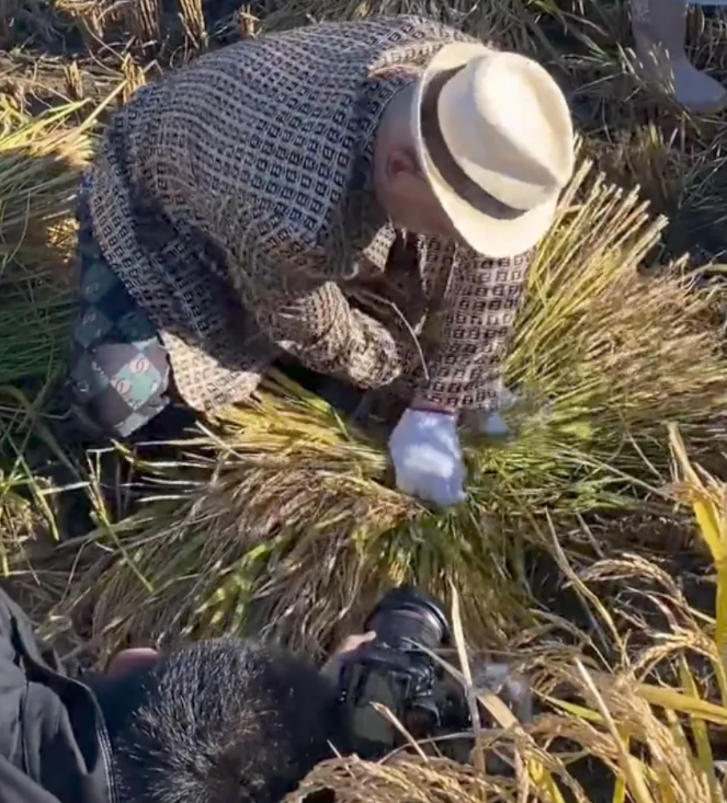 刘小光|赵本山爱徒刘小光去农村秋收,西装搭配碎花衬衣,雇人拍照引热议