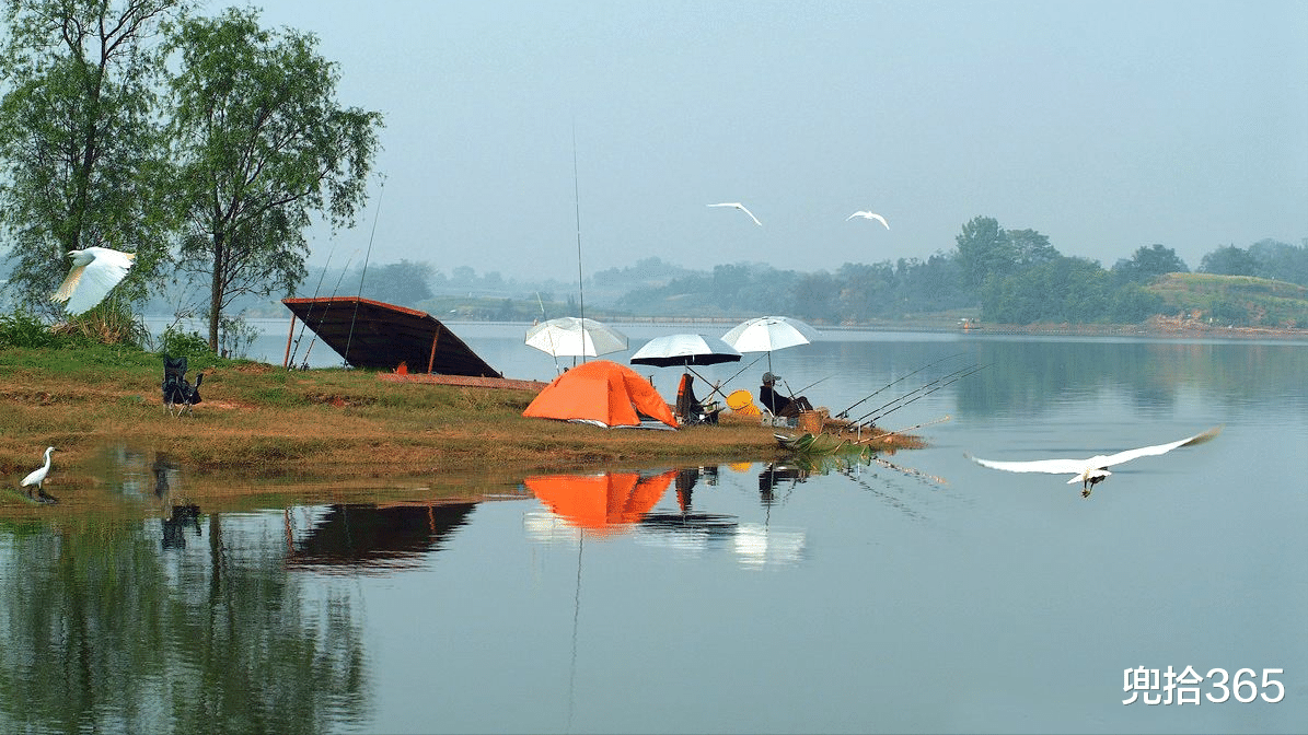 大学|探秘新钓点鱼影都没见到,却意外钩起一螃蟹,得知身份后高兴坏了