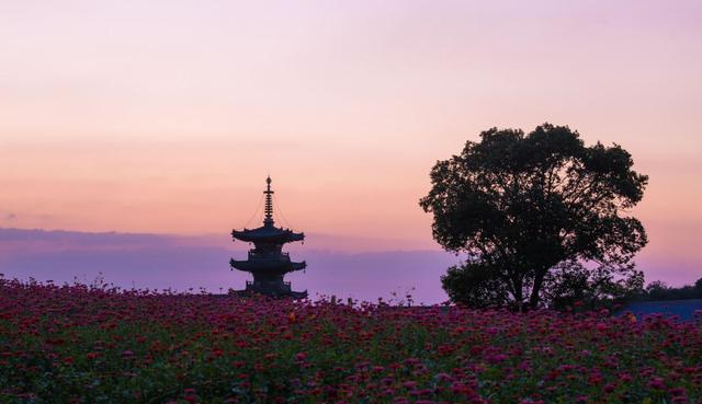 江西|彩虹中的鲁冰花海,太湖畔的火烧云,徒步中那些“治愈系”的画面