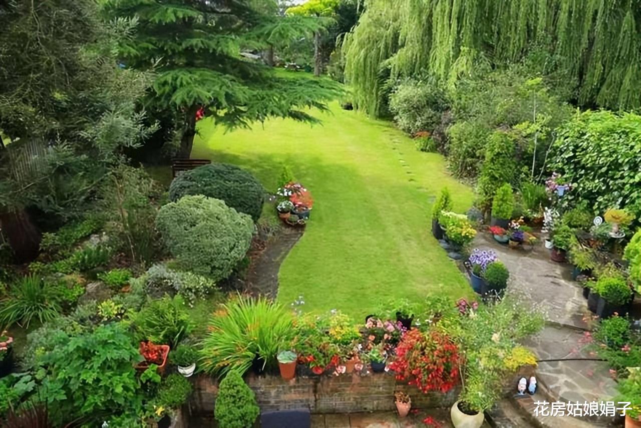 撂荒的1000㎡院子重建，一半养花，一半种菜，享受宁静的田园生活
