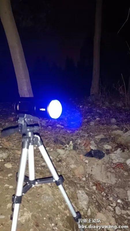 饵料|开张迎吉（鲫），惊喜有翘