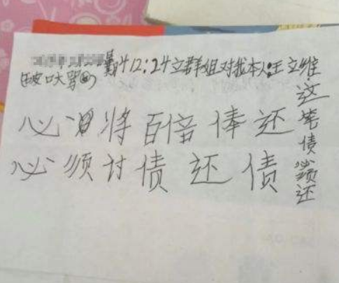 姐姐|“我不能忍了”，小学生“记仇本”走红，姐姐看后坐不住了