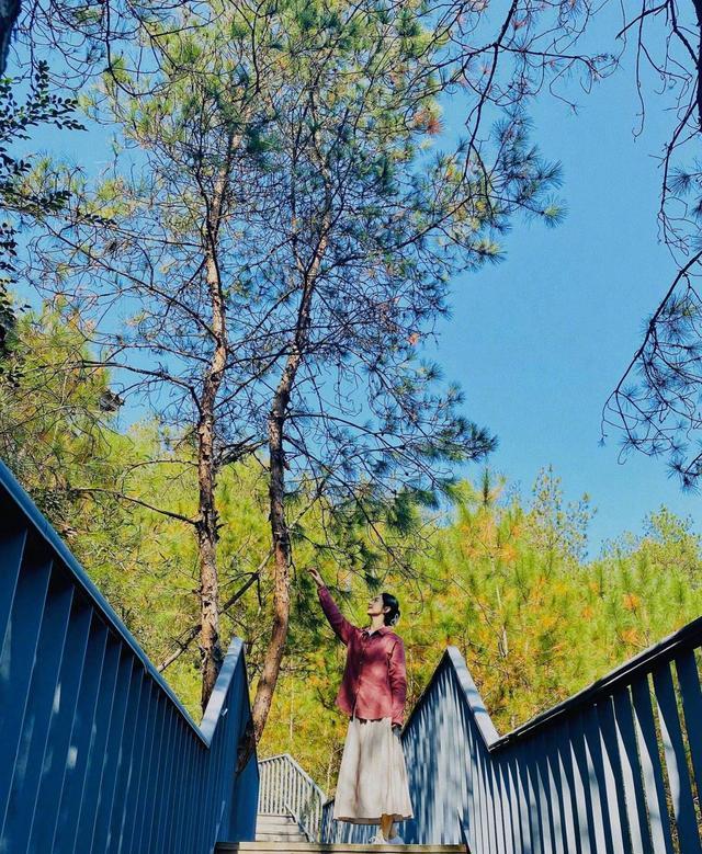 赵丽颖|赵丽颖条纹长裙阳光明媚户外写真