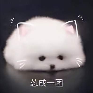 驾照|八年之后又八年?女流自曝上路之日还得延期