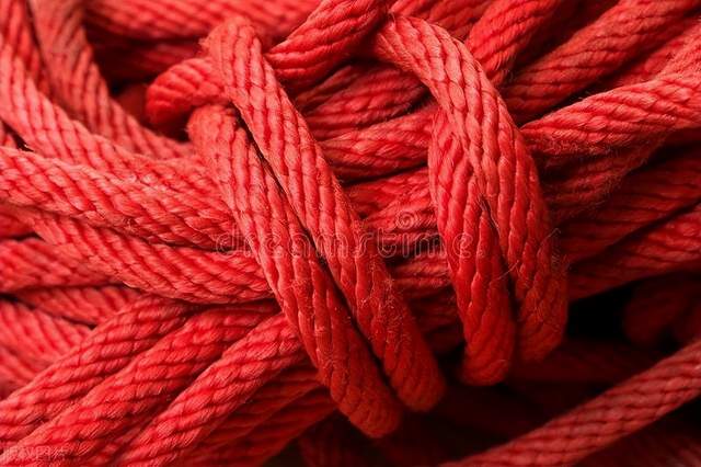 自媒体|逆向思维：网络赚钱和认知没关系，你看透一个本质就足够了