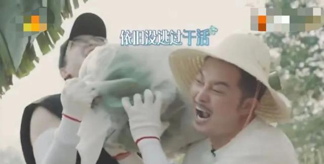 黄磊|《向往》又来三个新嘉宾,和黄磊关系好,但屈楚萧的过往有争议